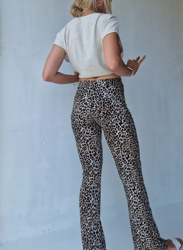 Langeleggings Flared Pants Leopardprint Tall 36 Zomer