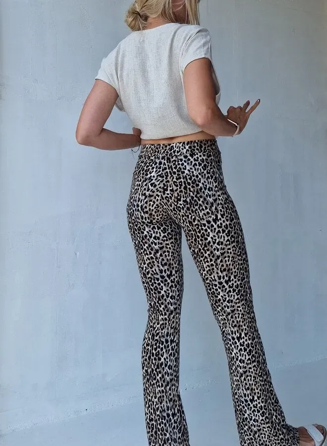 Langeleggings Flared Pants Leopardprint Tall 36 Zomer